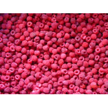 IQF Freezing Organic Raspberry Hr-16090909